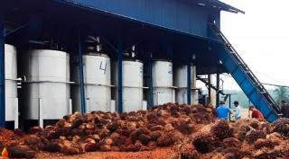 PKS di Mukomuko Serempak Turunkan Harga Beli Sawit