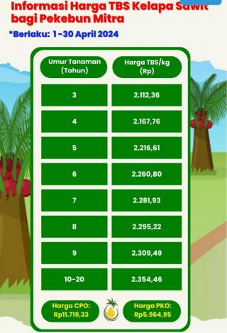 Fantastis, Harga Sawit di Kaltara Melesat Tajam