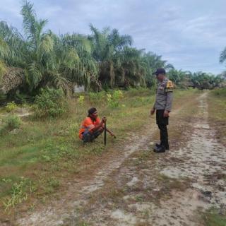 Harga Sawit di Pesisir Berau Dipatok Sangat Rendah