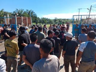 Touke Sawit Mengeluh