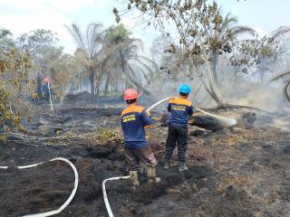 PT KTU, Selalu Gercep Hadapi Karhutla 