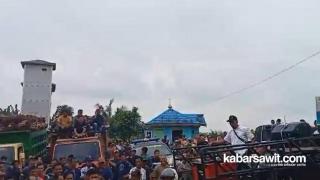 Ratusan Petani Sawit Serbu PT SLS di Pelalawan, Ini Penyebabnya