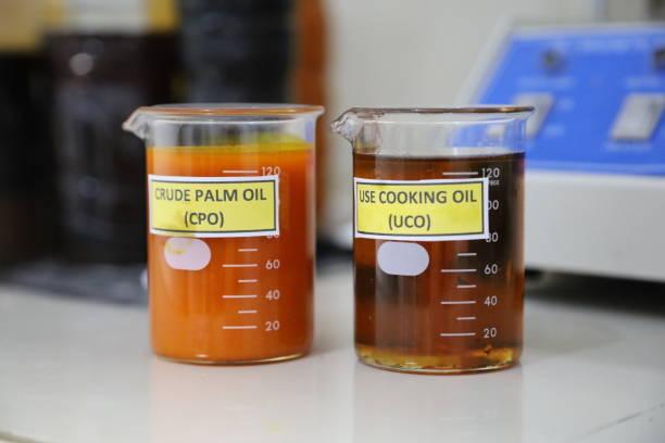 Harga Referensi CPO Agustus 2024 Meningkat 2,42 Persen