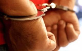 Penahanan Ditanguhkan, Tiga Tersangka Jual Beli Lahan Sawit di Kampar Bebas