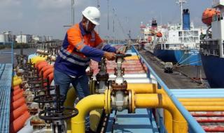 CPO Bikin Ekspor di Riau Melonjak 20,14 Persen 