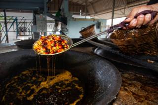TBS Meningkat, Petani Riau Raih Keuntungan Lebih Besar
