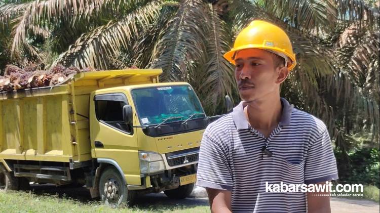 Perjalanan Fitra Tambunan Menjemput Asa di Kebun Sawit