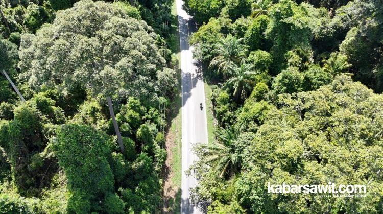 Merawat Hutan Belantara di Kebun Sawit