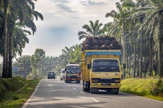 Penetapan Harga TBS dan CPO di Provinsi Kalbar untuk Periode Oktober 2024