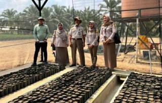Karantina Sumsel Lakukan Inspeksi Kebun Benih Sawit untuk Pastikan Bebas dari OPTK