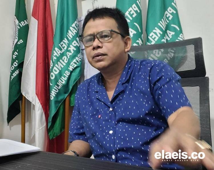 Harga Sawit di Sumbar Periode Ini Turun Rp142,08/Kg, Ketua Apkasindo Ungkap Penyebabnya