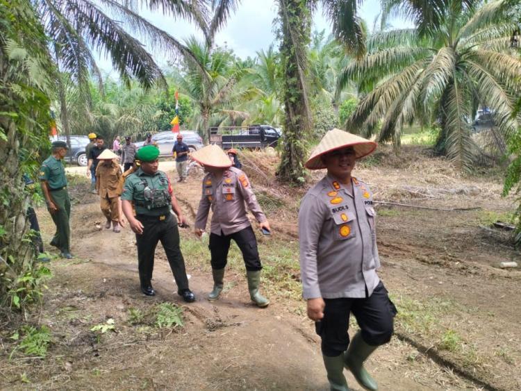 Ini Wujud Kongkret Kontribusi PT KSM Dukung Program Ketahanan Pangan yang Dilaksanakan Polres Rohul