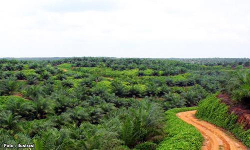 Saat Sumut Menggeser Sumbar ke Posisi ke-2