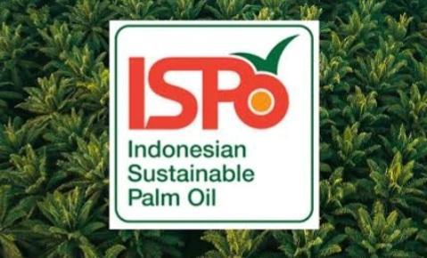 Diharapkan Lebih Relevan dan Menyeluruh, Aturan ISPO Harus Mengacu Ketentuan Baru