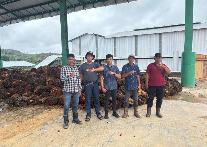 Ingin TBS Sawit Petani Dibeli dengan Harga Kompetitif,  Ini yang Dilakukan Apkasindo Sijunjung