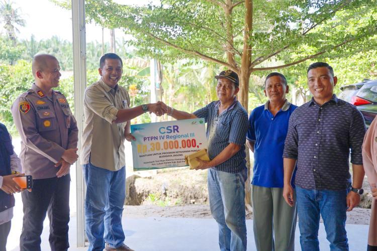 Rangkul Keltan di Siak, Ini Program yang Dilakukan PTPN IV Regional III untuk Memperkuat Ketahanan Pangan