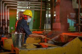 PalmCo Tahun Ini Sudah 90 Persen Proper Biru