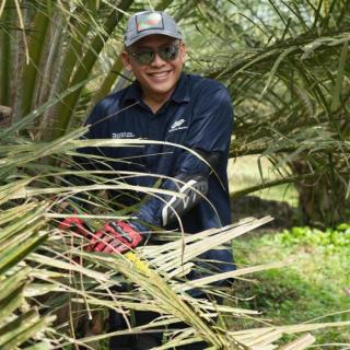 PalmCo Menunjukkan Ketangguhan Operasional di Sektor Hulu, Ini Buktinya