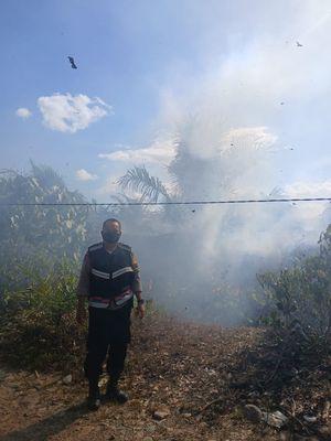 Hanya Butuh 2 Jam,  Kebakaran Lahan Sawit di Sipaho Berhasil Dipadamkan 