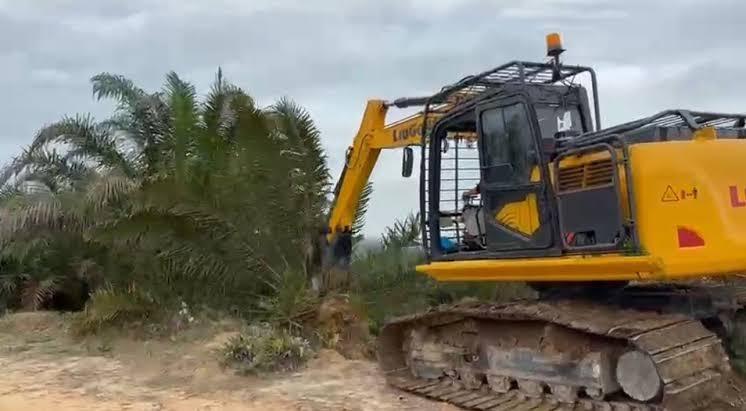 Keltan di Riau Kembalikan 415 Hektar Kebun Sawit di TNTN ke Negara,  Ketua Ungkap Sejarah Awal Penguasaan Lahan