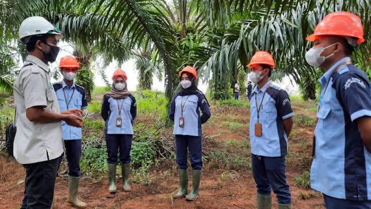 Buruan Raih Beasiswa Full KIP Kuliah CWE, Pendaftaran Ditutup Besok