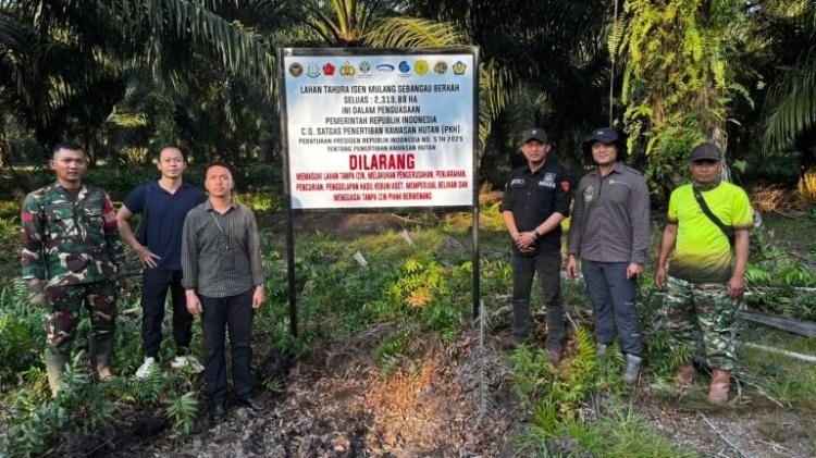 Pulihkan Aset Negara, Satgas PKH Tertibkan Lahan Sawit dalam Tahura di Pulang Pisau