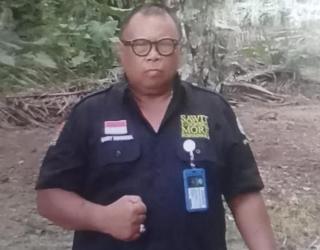 Saat Para Petani Sawit Swadaya Dihadapkan pada Tekanan Dari Dua Sisi... 