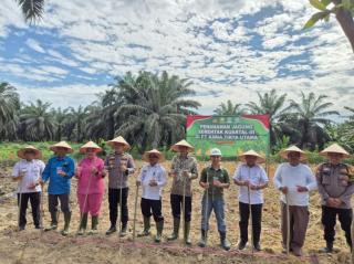 Lagi,  PT KTU di Siak Gelar Penanaman Jagung Serentak untuk Mendukung Swasembada Pangan Nasional