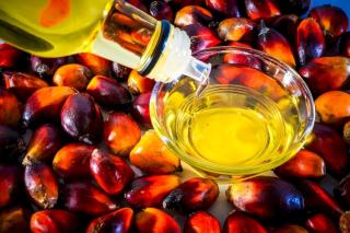 Disayangkan, Mayoritas Komoditas Selain Sawit Masih Dijual dalam Bentuk Mentah 