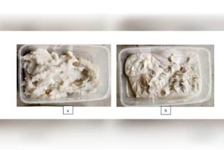 Jadi Sorotan di Sebuah Pameran, Inilah Pelumas Ramah Lingkungan dari Limbah Minyak Goreng Ciptaan Mahasiswa IPB