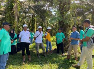 Ikut Pelatihan Budidaya Sawit, Petani di Tanah Laut Ini Beri Nilai 99 untuk Penyelenggara