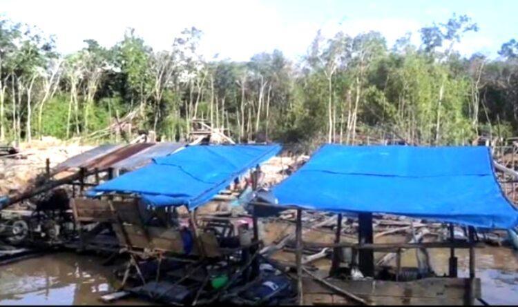 PETI Masih Marak, Legislator di Gunung Mas Sarankan Masyarakat Melirik Sawit