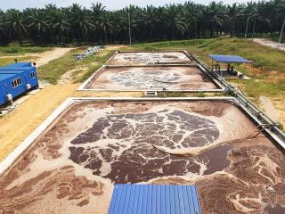 PKS di Daerah Ini Berhasil Memanfaatkan LImbah Cair Sawit  Jadi Listrik Ramah Lingkungan