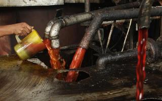 Apkasindo Optimistis Indonesia Tak Harus Menunggu 2045 untuk Mencapai Target 100 Juta Ton CPO,  Asalkan... 