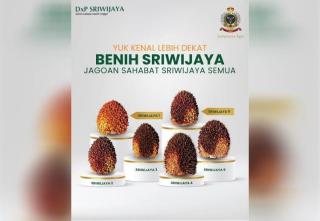 Telah Hadir Bibit Unggul Sawit Berpotensi Besar,  Catat Ini Mereknya