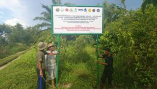 Apkasindo Minta Penataan Kawasan Hutan Harus Mengedepankan Prinsip Keadilan Ekologis dan Sosial