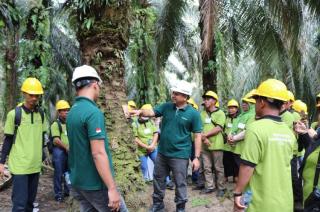 Gelar Pelatihan bagi Pekebun Sawit di Rohil, BPI Ingin Produksi Perkebunan Rakyat Meningkat