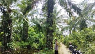 Berikan Rasa Aman dan Nyaman, Polisi di Peudawa Terus Lakukan Patroli di Perkebunan Sawit 