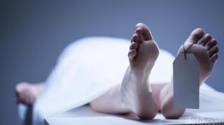 Diduga Tersengat Listrik, Karyawan Panen PTPN 3 Ditemukan Tewas di Pinggir Jalan