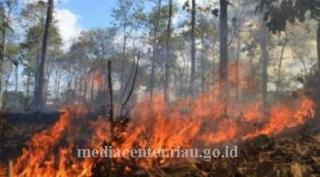 PT TMP Sosialisasikan Pencegahan Karhutla dan Deklarasi DMPG, Pemkab Rohil Beri Apresiasi