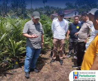 Kementan Terus Dorong Pemenuhan Kebutuhan Benih Unggul 