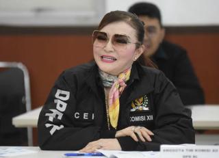 Legislator: Putusan WTO dalam Sengketa Dagang dengan UE Tamparan Balik terhadap Kampanye Negatif Sawit