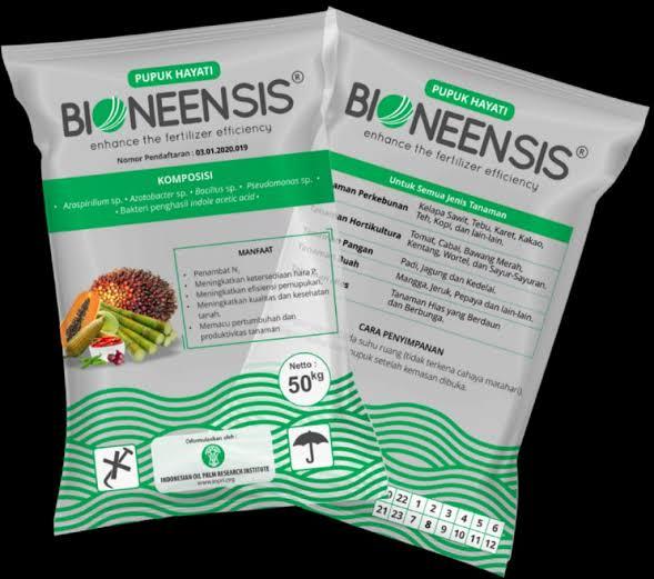 Pupuk Bioneensis Bikin Tanah Subur, Hasil Panen Sawit pun Moncer 