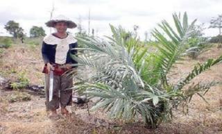 Solidaridad: Tanah Bukan Sekadar Media Tanam, tapi Ekosistem Hidup