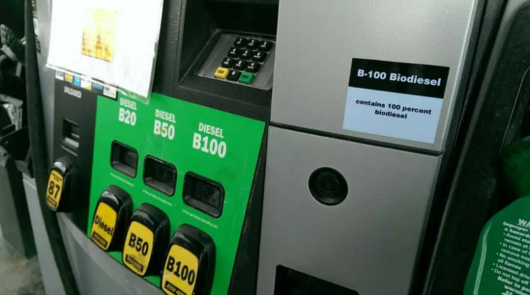 Terkait Program Biodiesel, Pemerintah Menghadapi Dilema