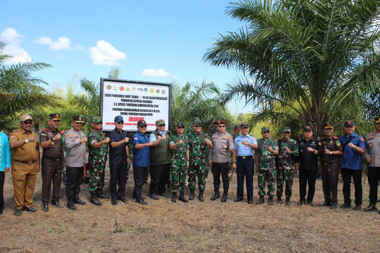 Setahun Pemerintahannya, Presiden Klaim Negara Berhasil Tertibkan 5 Juta Hektare Lahan Sawit Ilegal