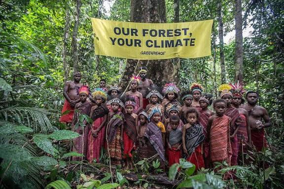 Hasil Uji Materiil Sawit Watch Bersama IHCS, Ini Putusan MK yang Lindungi Komunitas Hutan Adat