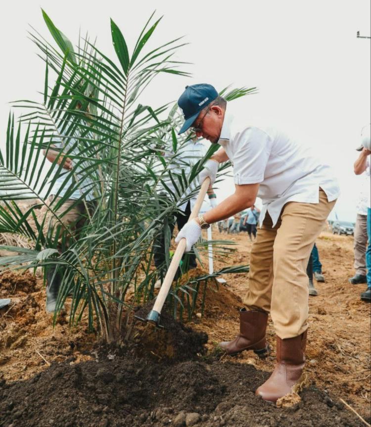 Kejar Target Produktivitas Sawit 7 Ton CPO/Ha/Tahun, PTPN IV Regional III Remajakan 949,6 Ha Sawit Renta