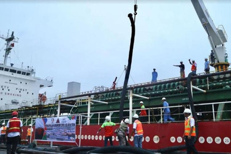 Dipicu Faktor Ini, Harga CPO dan TBS Sawit Diprediksi akan Terjun Bebas