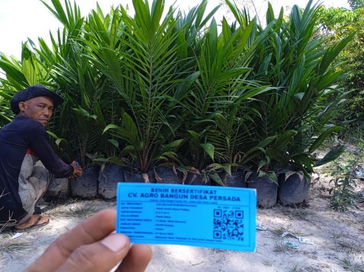 Kementan Kembali Gelar Sidang Pelepasan Varietas Periode Kedua 2025 